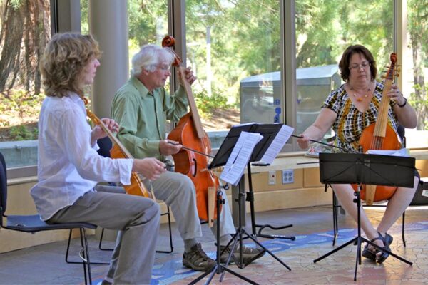Rogue Consort of Viols - Morgan O'Shaughnessey treble ~  Steve Berman bass ~  Pat O'Scannell tenor